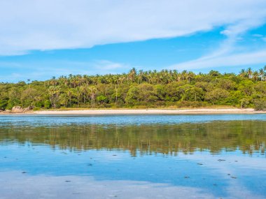 Güzel tropikal plaj ve deniz ile Hindistan cevizi hurma ağacının seyahat ve tatil