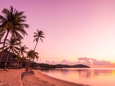 Güzel tropikal plaj deniz ve okyanus ile Hindistan cevizi hurma ağacı gündoğumu zaman seyahat ve tatil için