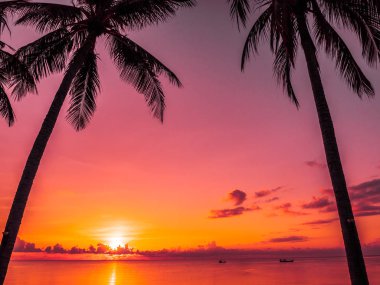 Güzel tropikal plaj deniz ve okyanus ile Hindistan cevizi hurma ağacı gündoğumu zaman seyahat ve tatil için