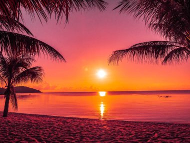Güzel tropikal plaj deniz ve okyanus ile Hindistan cevizi hurma ağacı gündoğumu zaman seyahat ve tatil için