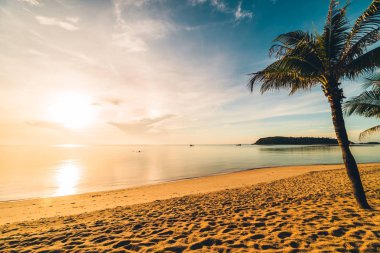 Günbatımı zaman tropik cennet ada plaj ve deniz ile Hindistan cevizi palmiye ağacı üzerinde tatil ve tatil için