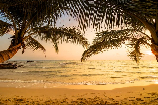 Beautiful Paradise Island Beach Sea Coconut Palm Tree Sunset Time — Stock Photo, Image