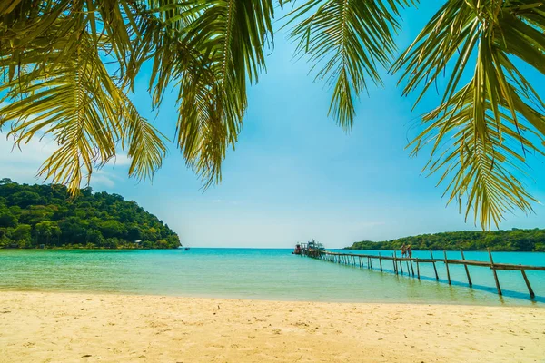 Wunderschöner Tropischer Strand Und Meer Mit Kokospalmen Paradiesinsel Für Reise — Stockfoto