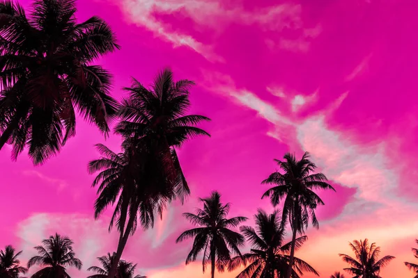 Vakker Utendørs Utsikt Med Tropisk Natur Silhuettpalmer Himmelen Ved Solnedgang – stockfoto