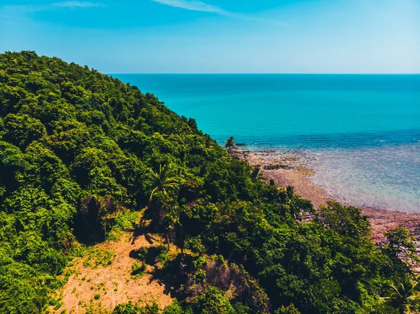 Letecký Pohled Krásnou Tropickou Pláž Moře Stromy Ostrově Pro Cestování — Stock fotografie