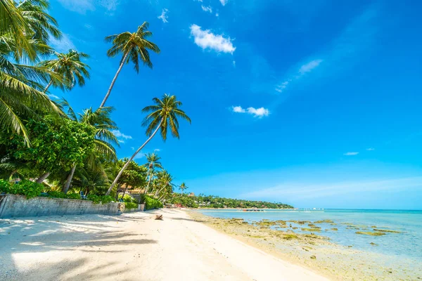 Nádherná Tropická Pláž Moře Písek Kokosu Palmou Modrou Oblohu Bílé — Stock fotografie