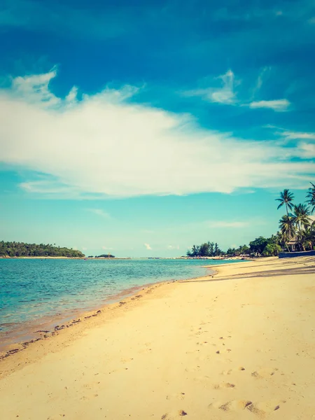 Güzel tropikal plaj ve deniz ile Hindistan cevizi hurma ağacının seyahat ve tatil