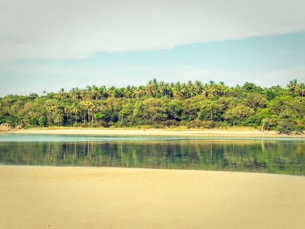 Tropisch Strand Zee Met Coconut Palm Tree Voor Reizen Vakantie — Stockfoto