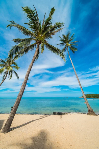 Güzel tropikal plaj deniz ve kum mavi gökyüzü ve beyaz bulut seyahat ve tatil için Hindistan cevizi hurma ağacı ile