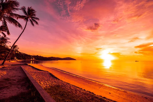 Günbatımı zaman tropik cennet ada plaj ve deniz ile Hindistan cevizi palmiye ağacı üzerinde tatil ve tatil için