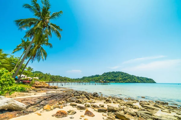 Beautiful Tropical Beach Sea Coconut Palm Tree Paradise Island Travel — Stock Photo, Image