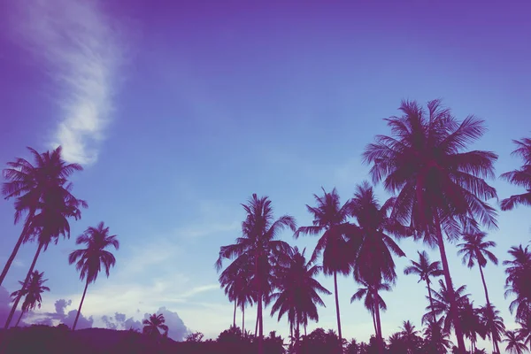 Gökyüzü günbatımı zaman - Vintage filtre tropikal doğa ve siluet Hindistan cevizi hurma ağacı ile güzel açık görünüm