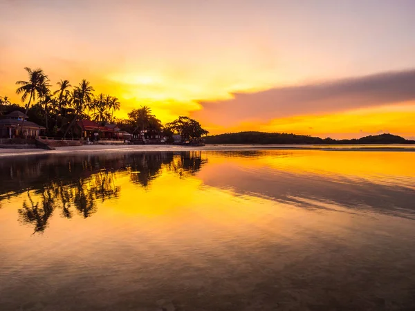 Vacker Tropisk Strand Havet Och Havet Med Coconut Palm Tree — Stockfoto