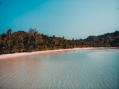 Güzel doğa tropikal plaj ve deniz kayık tekne ve Hindistan cevizi hurma ağacı Cennet Adası için seyahat etmek tatil