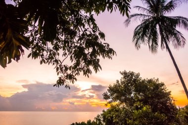 Güzel tropikal deniz okyanus cennet adayı gündoğumu zaman içinde Hindistan cevizi hurma ağacı