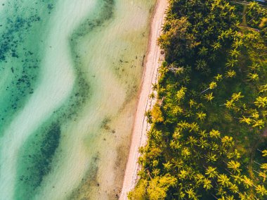 Seyahat ve tatil için adada güzel tropikal plaj ve deniz ağaçları ile havadan görünümü