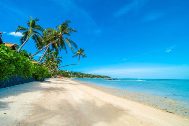 Güzel tropikal plaj deniz ve kum mavi gökyüzü ve beyaz bulut seyahat ve tatil için Hindistan cevizi hurma ağacı ile