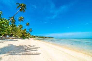 Güzel tropikal plaj deniz ve kum mavi gökyüzü ve beyaz bulut seyahat ve tatil için Hindistan cevizi hurma ağacı ile