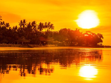 Güzel tropikal plaj deniz ve okyanus ile Hindistan cevizi hurma ağacı gündoğumu zaman seyahat ve tatil için
