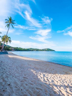 Güzel tropikal plaj ve deniz ile Hindistan cevizi hurma ağacının seyahat ve tatil