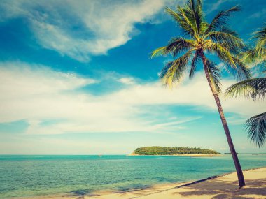 Güzel tropikal plaj ve deniz ile Hindistan cevizi hurma ağacının seyahat ve tatil