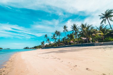 Güzel tropikal plaj deniz ve kum mavi gökyüzü ve beyaz bulut seyahat ve tatil için Hindistan cevizi hurma ağacı ile