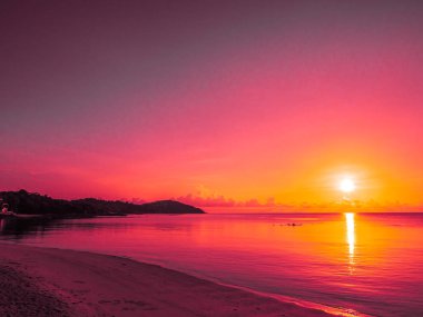 Güzel tropikal plaj deniz ve okyanus ile Hindistan cevizi hurma ağacı gündoğumu zaman seyahat ve tatil için