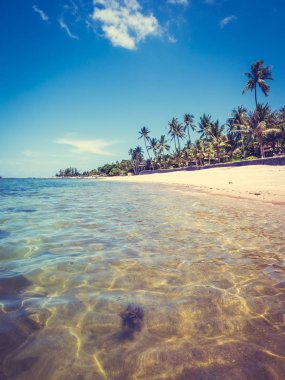 Güzel tropikal plaj ve deniz ile Hindistan cevizi hurma ağacının seyahat ve tatil