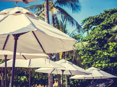 Hindistan cevizi hurma ağacı ile deniz okyanus seyahat ve tatil için mavi gökyüzü arka plan üzerinde Beyaz şemsiye