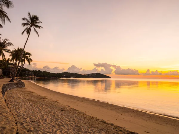 Moře Krásné Tropické Pláže Oceánu Kokosu Palmou Době Východu Slunce — Stock fotografie