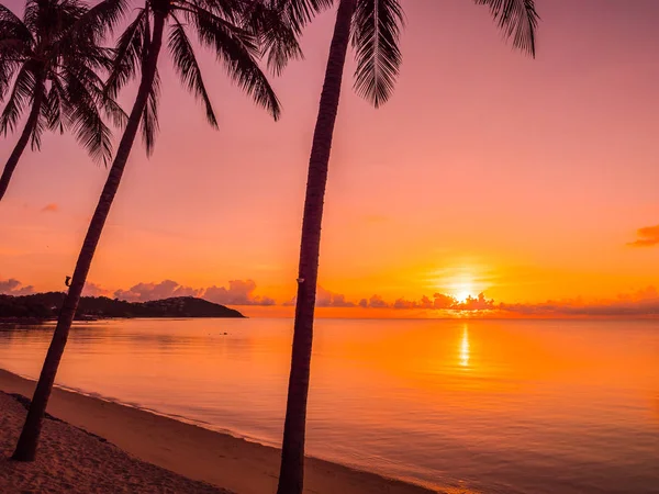 Hermosa Playa Tropical Mar Océano Con Palmera Coco Amanecer Para —  Fotos de Stock