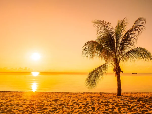 Bella Spiaggia Tropicale Mare Oceano Con Palma Cocco Sorgere Del — Foto Stock