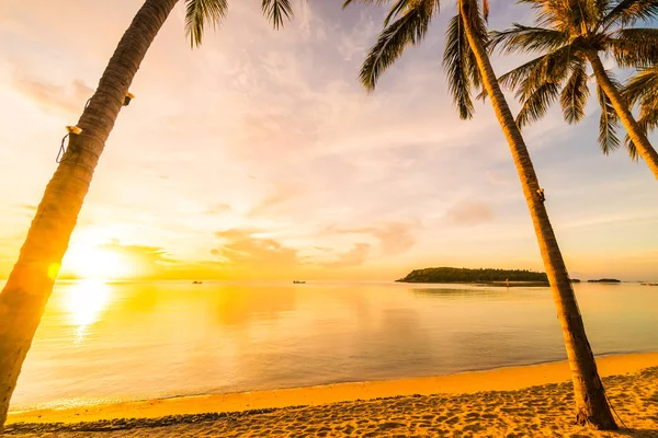 Napnyugta Időpontja Trópusi Paradicsomban Island Beach Kókusz Pálma Tenger Üdülés — Stock Fotó