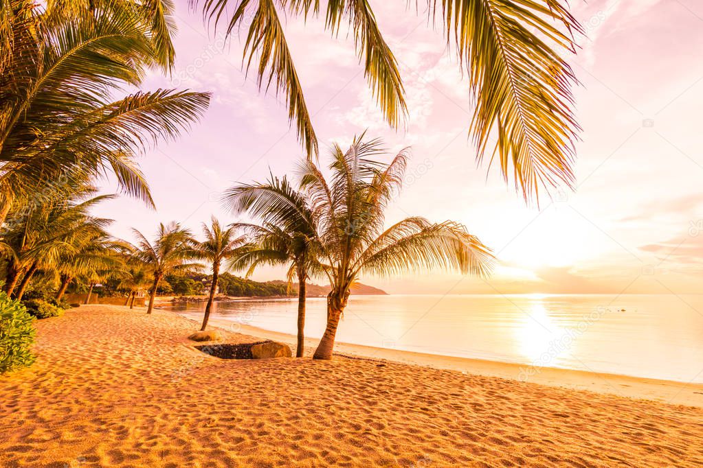 At sunset time on the tropical paradise island beach and sea with coconut palm tree for holiday and vacation