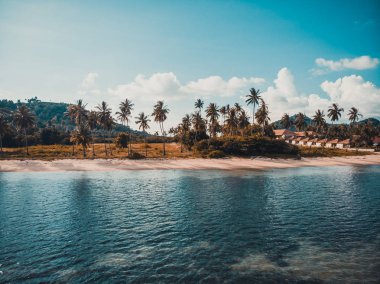 Güzel tropikal plaj ve deniz hurma ve koh samui Adası seyahat ve tatil için diğer ağacında havadan görünümü