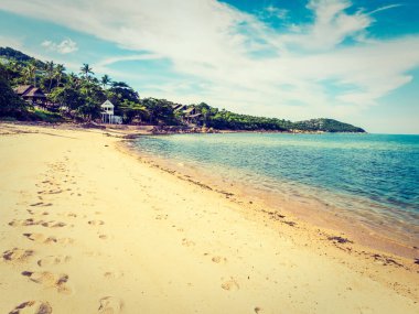 Güzel tropikal plaj ve deniz ile Hindistan cevizi hurma ağacının seyahat ve tatil