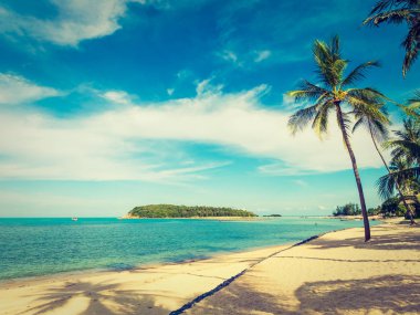 Güzel tropikal plaj ve deniz ile Hindistan cevizi hurma ağacının seyahat ve tatil