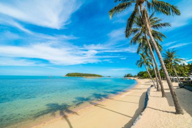 Güzel tropikal plaj deniz ve kum mavi gökyüzü ve beyaz bulut seyahat ve tatil için Hindistan cevizi hurma ağacı ile
