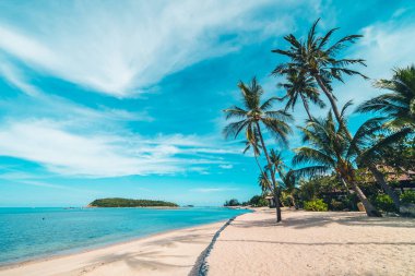 Güzel tropikal plaj deniz ve kum mavi gökyüzü ve beyaz bulut seyahat ve tatil için Hindistan cevizi hurma ağacı ile