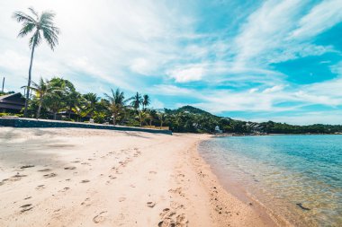 Güzel tropikal plaj deniz ve kum mavi gökyüzü ve beyaz bulut seyahat ve tatil için Hindistan cevizi hurma ağacı ile