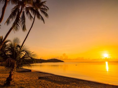 Güzel tropikal plaj deniz ve okyanus ile Hindistan cevizi hurma ağacı gündoğumu zaman seyahat ve tatil için