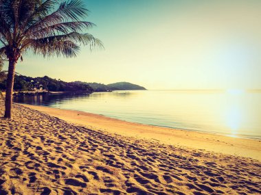 Güzel tropikal plaj ve deniz ile Hindistan cevizi hurma ağacının seyahat ve tatil