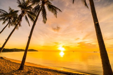 Günbatımı zaman tropik cennet ada plaj ve deniz ile Hindistan cevizi palmiye ağacı üzerinde tatil ve tatil için