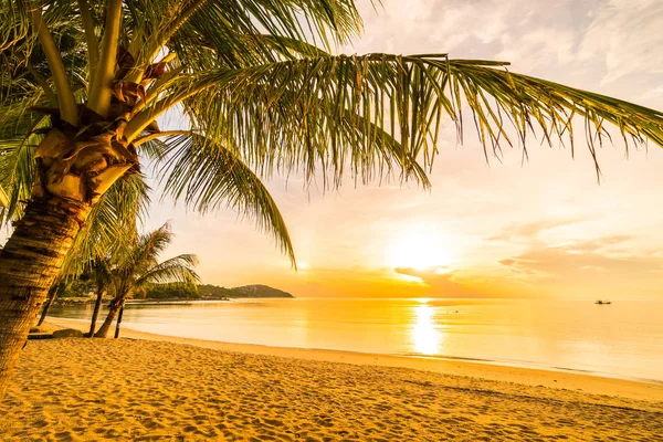 Vid Solnedgång Tropiskt Paradis Stranden Och Havet Med Coconut Palm — Stockfoto