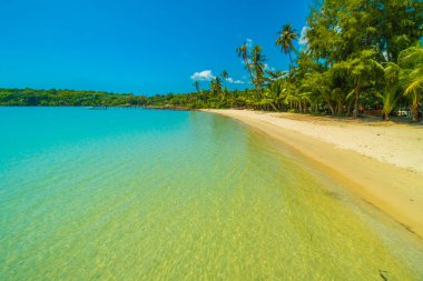 Güzel tropikal plaj ve deniz paradise Island Seyahat ve tatil için Hindistan cevizi hurma ağacı
