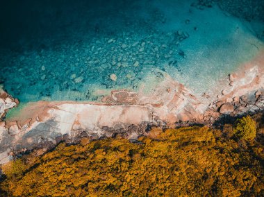 Güzel doğa tropikal plaj ve deniz kayık tekne ve Hindistan cevizi hurma ağacı Cennet Adası için seyahat etmek tatil