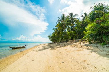 Güzel tropikal plaj ve Hindistan cevizi hurma ağacı Cennet Adası