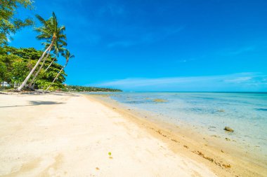 Güzel tropikal plaj deniz ve kum mavi gökyüzü ve beyaz bulut seyahat ve tatil için Hindistan cevizi hurma ağacı ile