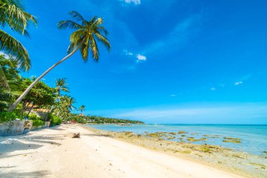Güzel tropikal plaj deniz ve kum mavi gökyüzü ve beyaz bulut seyahat ve tatil için Hindistan cevizi hurma ağacı ile