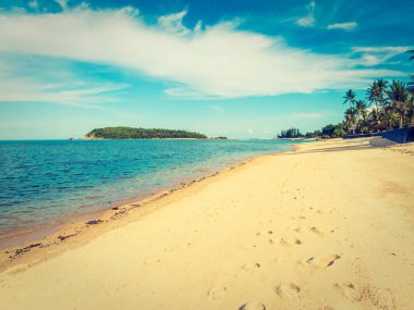 Güzel tropikal plaj ve deniz ile Hindistan cevizi hurma ağacının seyahat ve tatil